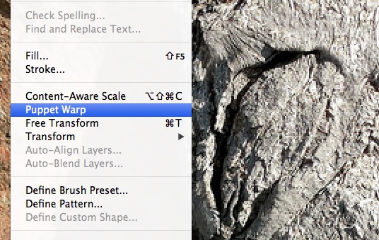 Using the Photoshop Puppet Warp