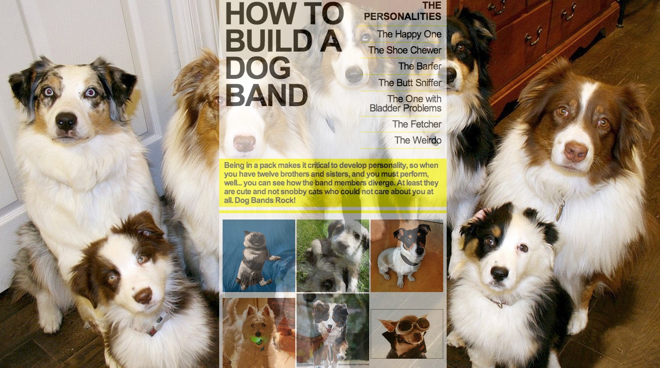 how to build a dog band