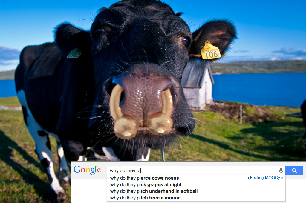 im-feeling-moocy