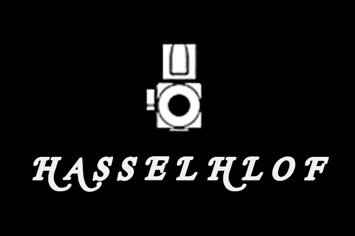 hasselhlof-logo-block