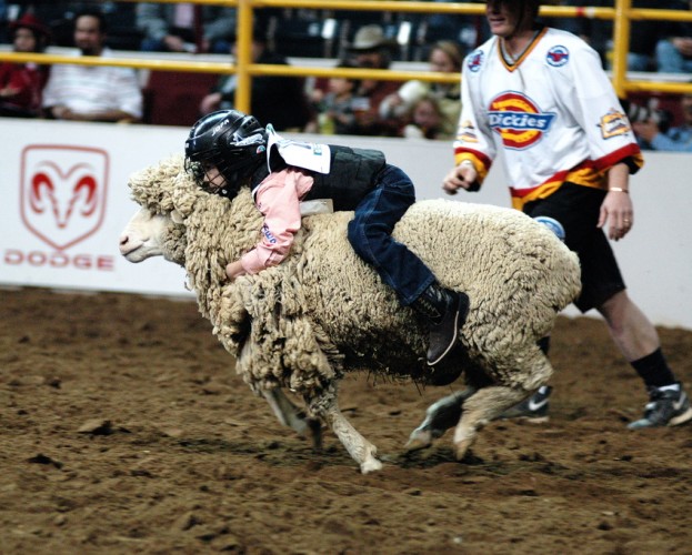 "Mutton bustin" by Arthur Mouratidis from United States - DSC_0063 copy.jpg. Licensed under CC BY 2.0 via Commons